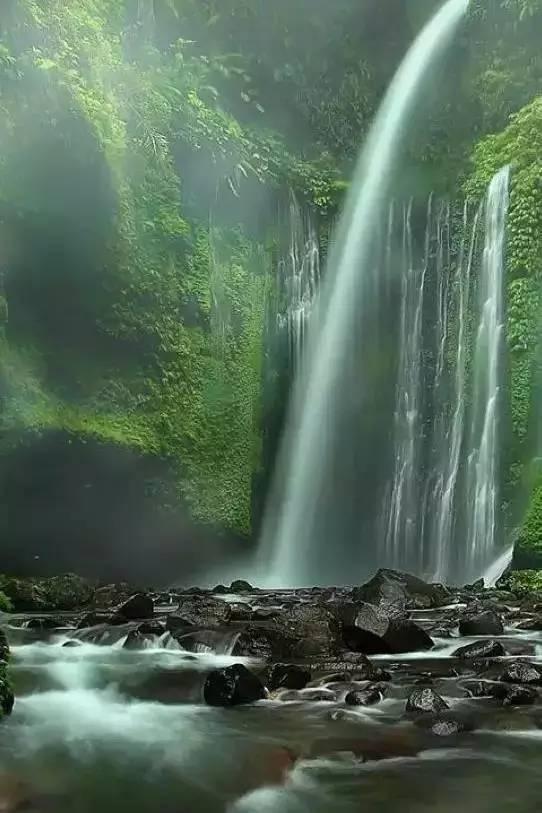 他是怎么逃出来的
