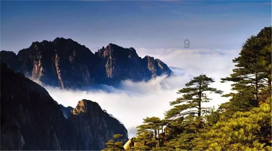 玩具坦克对战