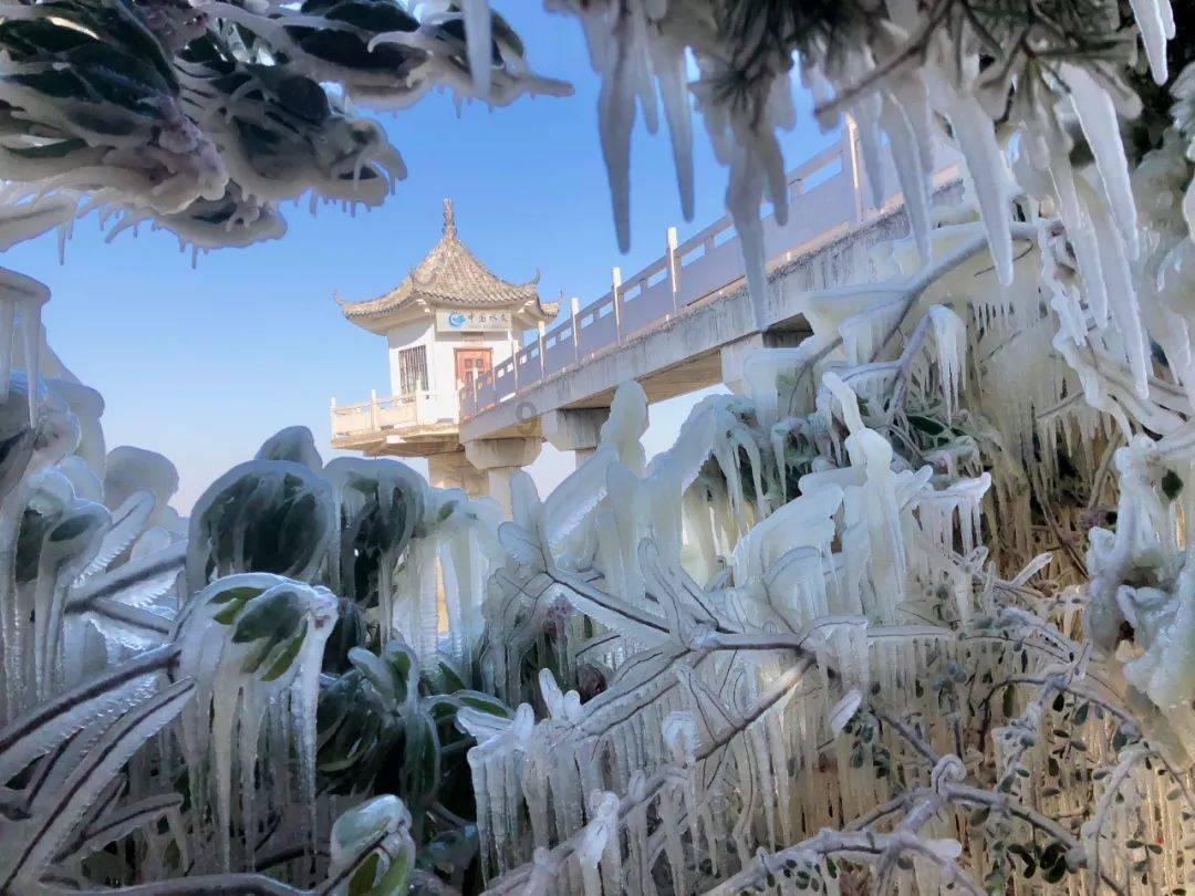 世界艺术家协会主席王余根博士探访道教圣地茅山
