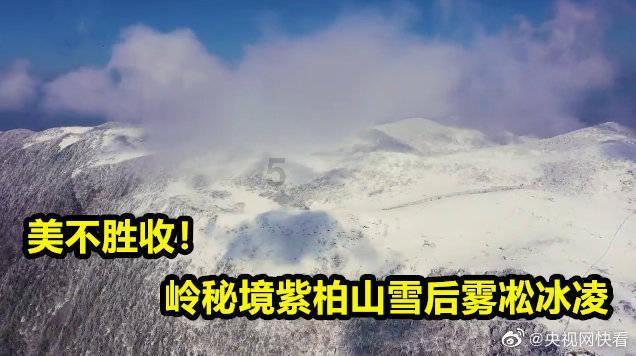 天津排球之城“强基计划”冬训营收官