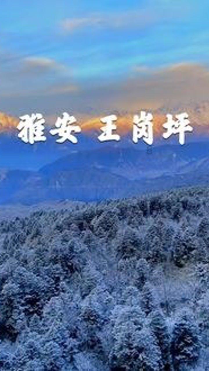 福州鼓楼：邻里欢聚新春宴 2024年“我们的节日·春节”主题活动举行