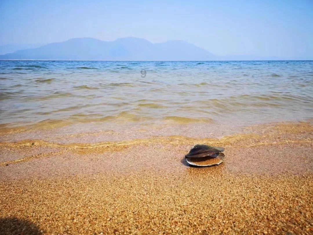 秦皇岛市北戴河区“小海鲜”游学卢龙永平府