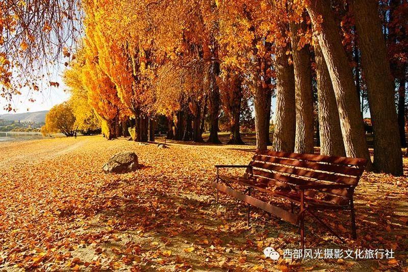 迷失在街头的男孩