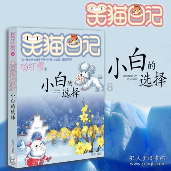 美人鱼生日会