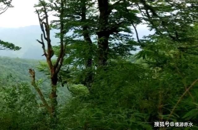 殡葬行业成为五大最赚钱的行业之一，背后有何内幕？游戏画面