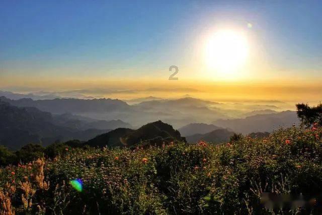 虫虫助手下载