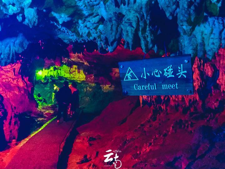 创作猫