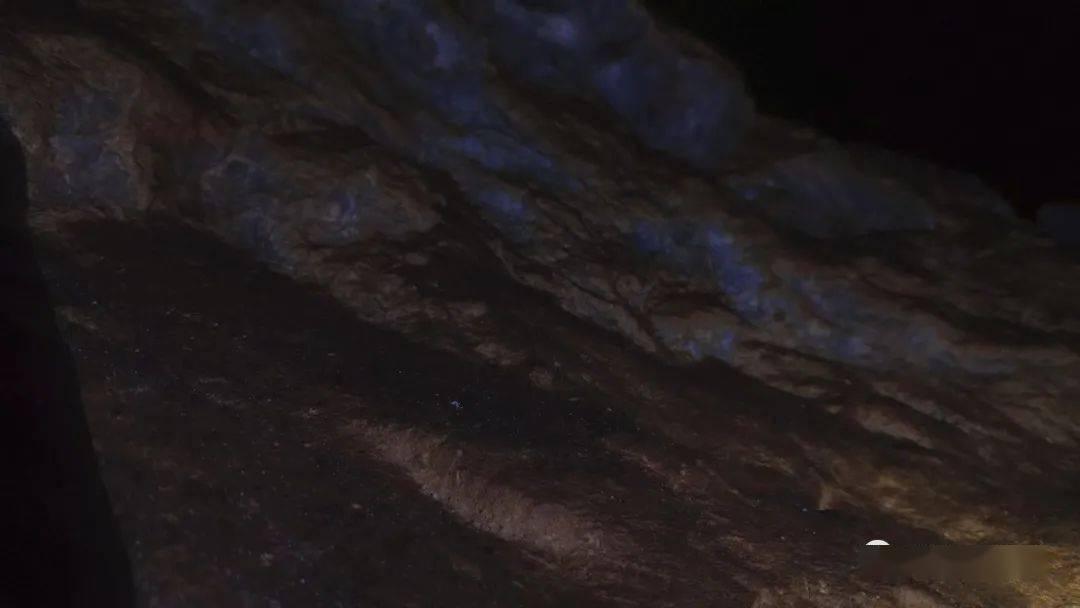 逗小猴开心系列193