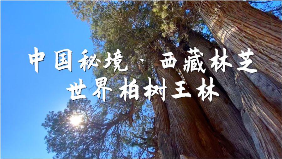 贵阳明天下午开始下雪!贵州启动低温雨雪凝冻灾害Ⅳ级应急响应