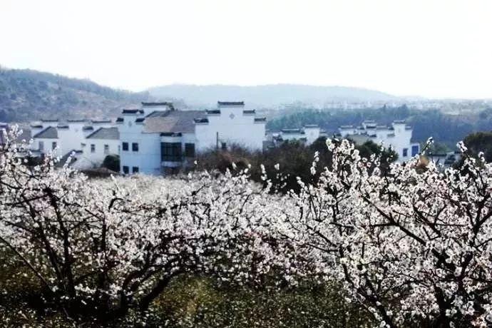 蛇蛇争霸