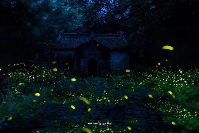 春雨直播app