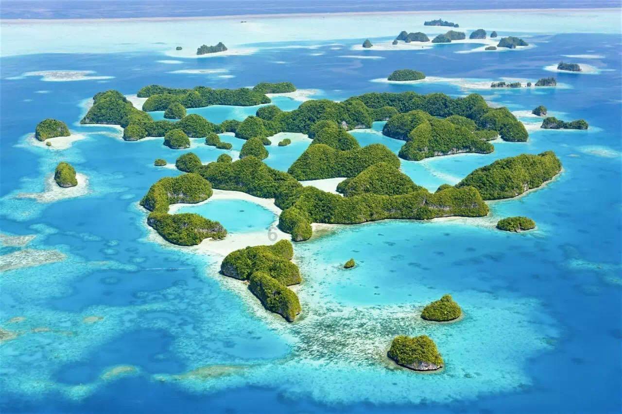 救援紫色生物