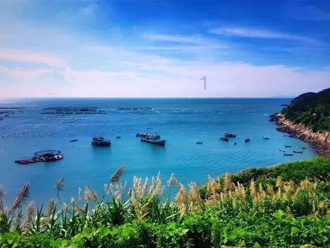 沪江开心词场