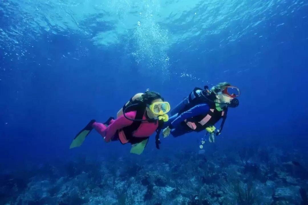航海王