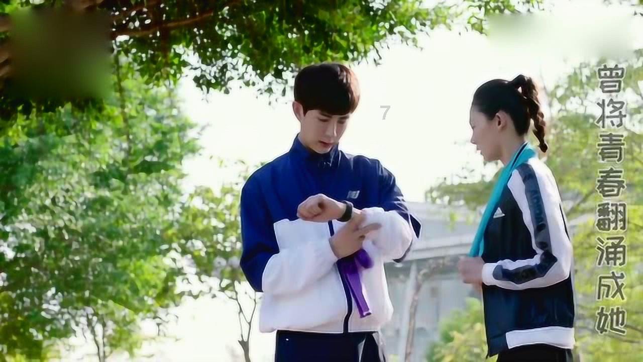 破碎的动物图形3
