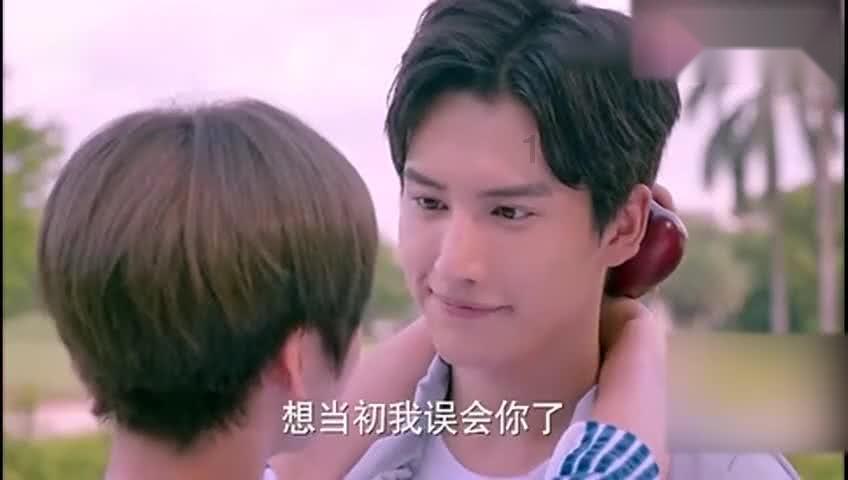 救援狗与猫