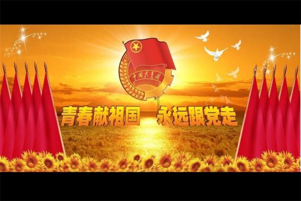 上交所:大力惩处资金占用,从严打击财务造假