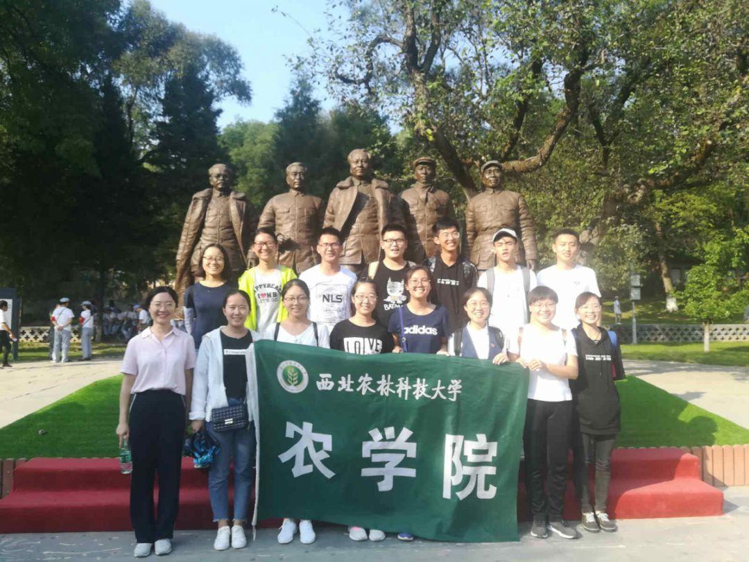 小猫钓鱼游戏龙王版有船