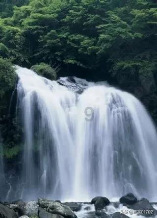 高效空砍！陶汉林12中8拿到21分6篮板
