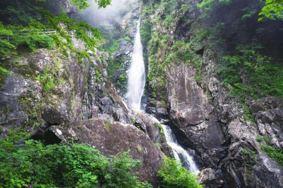 八旬老人夜间走失 2个派出所合力通夜寻找