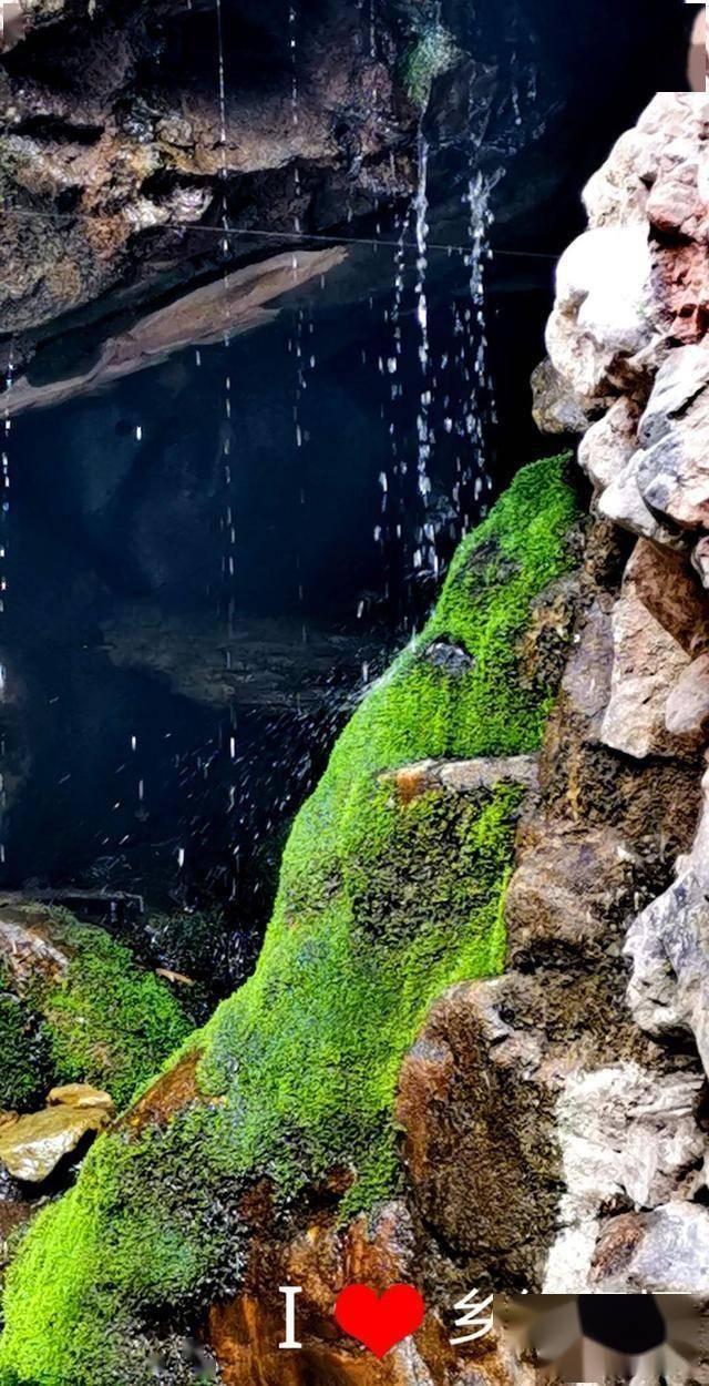 逃出安逸小乡村