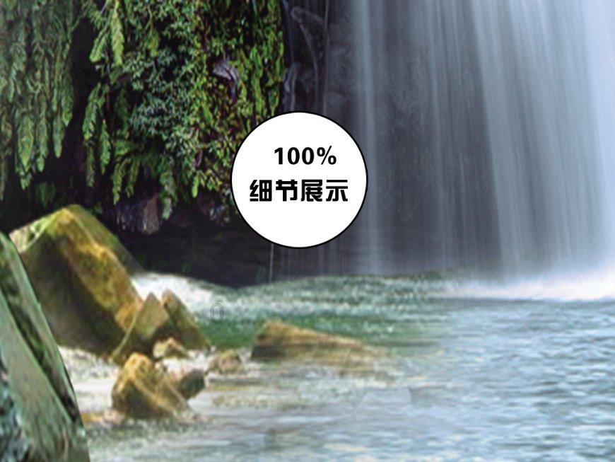 春雨直播app