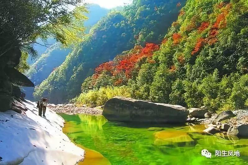 脑洞小老弟无实名认证