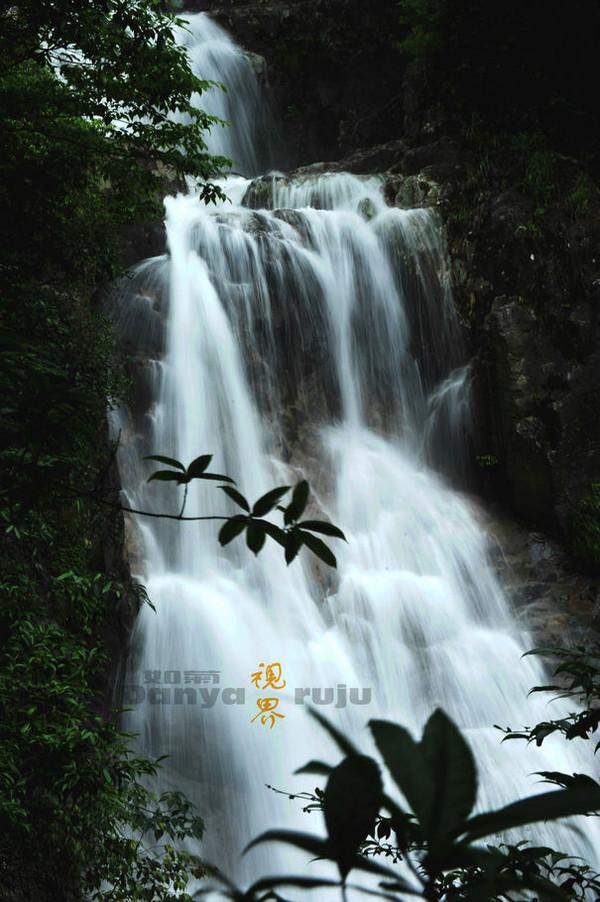 虫虫助手下载