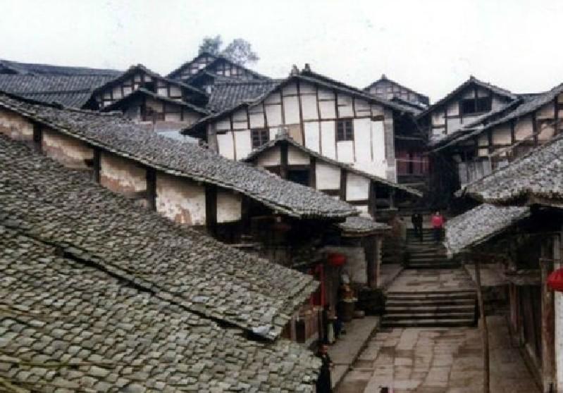 动物帮帮忙保卫家园