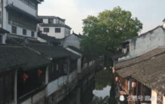 虫虫助手下载