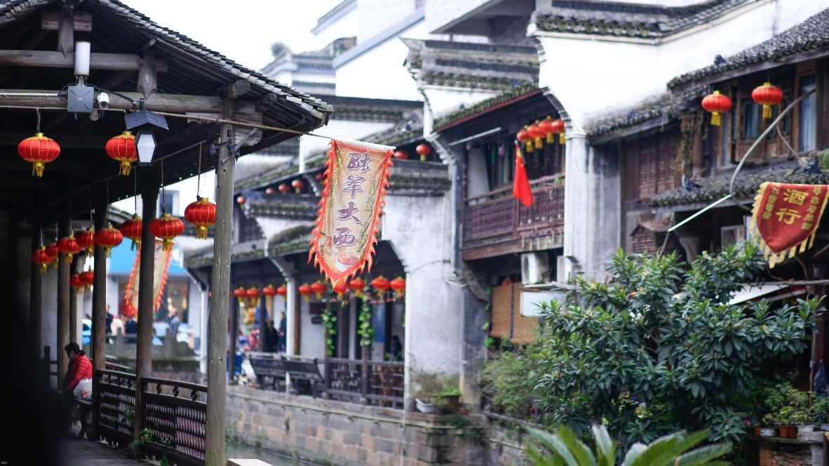 动物帮帮忙保卫家园