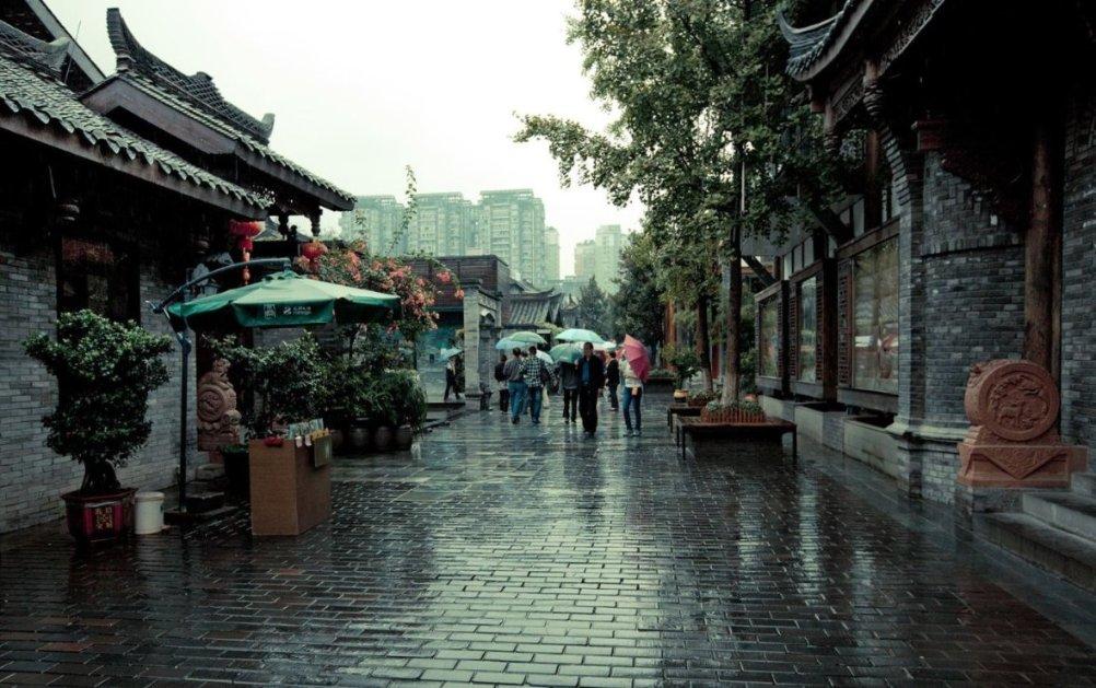 春雨直播app