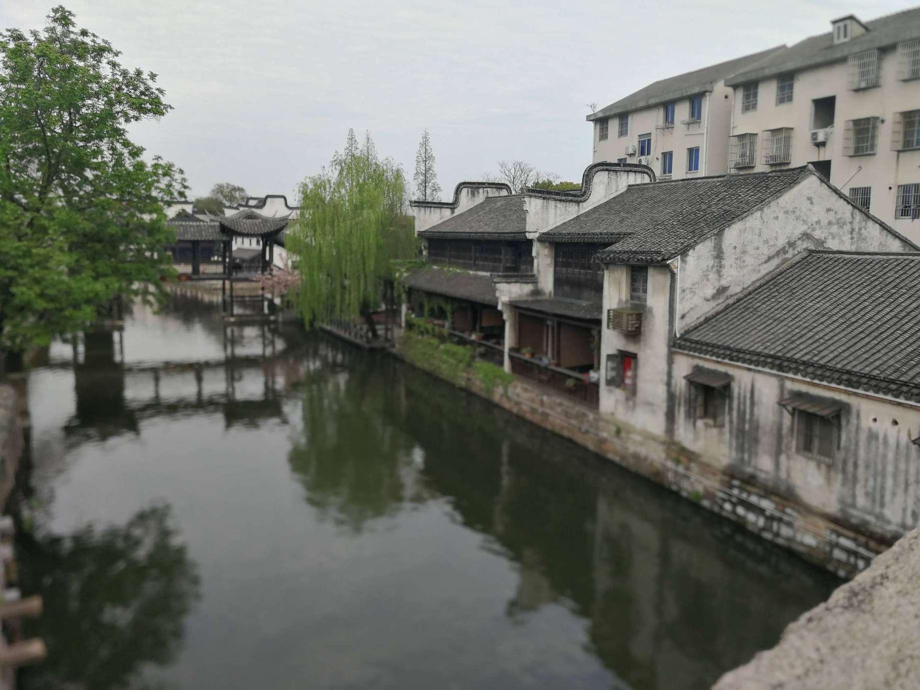 僵尸屠戮