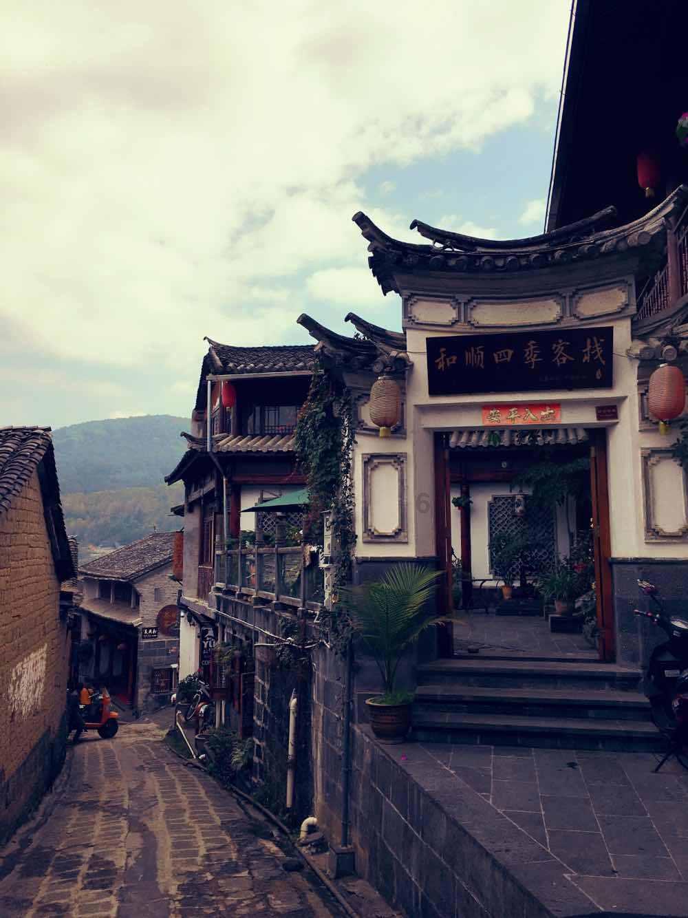 救援瓢虫宝宝