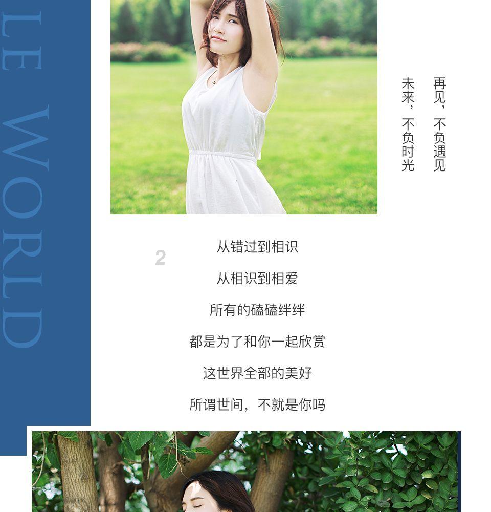 小猫钓鱼正版下载中文版